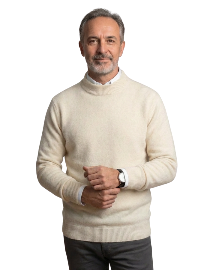 Werner Pullover in Beige, getragen von einem Mann, Vorderansicht