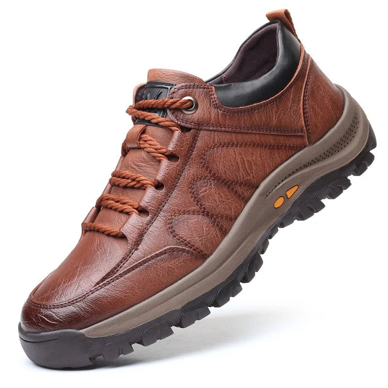 Hansjakob Herrenschuhe in Braun