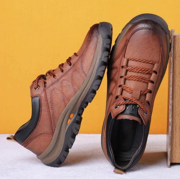 Hansjakob Herrenschuhe in Braun, Paar